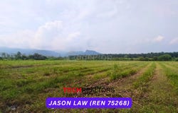 Bedong, Kedah 8100
