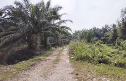 Kuala Langat, Selangor 42700