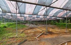Pontian, Johor 81500