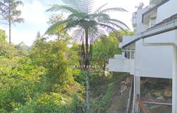 Jalan Lady Maxwell, 49000, Pahang, Raub, Pahang 49000