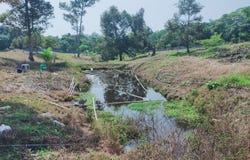 Karak, Pahang 28600