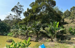 o, Bentong, Pahang 28600