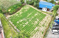 Brinchang, Pahang 39000