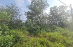 Kuala Selangor, Selangor 45600