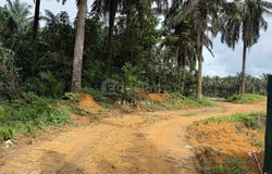 Senai, Johor 81400