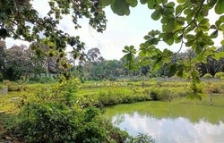 Johor Bahru, Johor 81700
