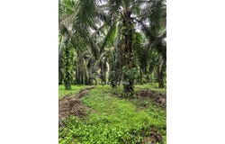 Kota Tinggi, Johor 81900