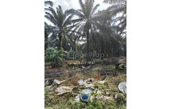 Johor Bahru, Johor 81700
