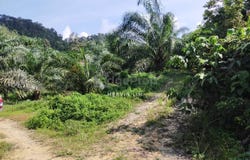 Bentong, Pahang 28700