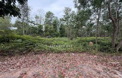 Semenyih, Selangor 43500