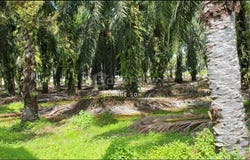 Kuala Selangor, Selangor 45600