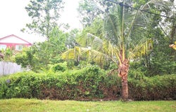Bangi, Selangor 43650
