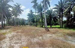 Manjung, Perak 0