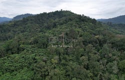 Hulu Langat, Selangor 43100