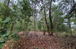 Semenyih, Selangor 43500
