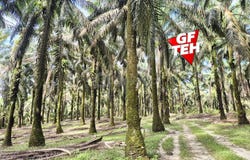Selama, Perak