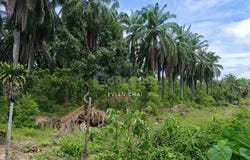Chemor, Perak 31200