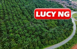 Sungai Petani, Kedah 08000