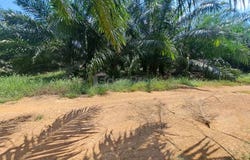 Banting, Selangor 42700