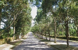 Gelang Patah, Johor 81550