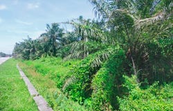 Klang, Selangor 42200