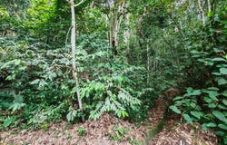 Bentong, Pahang 28750