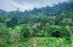 Ipoh, Perak