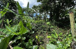 Jalan Ukay, Ampang, Selangor 68000
