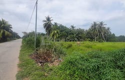Kuala Selangor, Selangor 45800