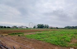 Sungai Petani, Kedah 8000