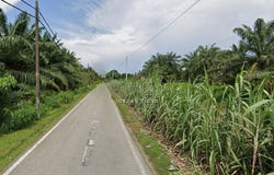 Temerloh, Pahang