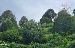 Raub, Pahang 0