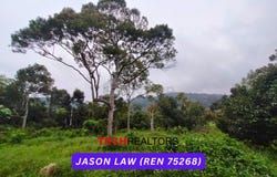 Merbok - Yan Kechil Rd, Yan, Kedah 6900