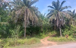 Maran Mengkarak, Pahang 26500