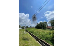 Pekan, Pahang