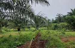 Banting, Selangor 42700