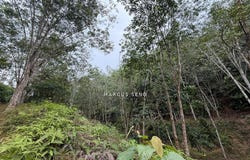 Kuala Kangsar, Perak 31100
