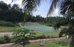 Hulu Selangor, Selangor 44000