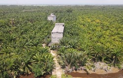 Tanjong Karang, Selangor