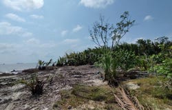 Pulau Carey, Selangor
