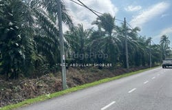 Banting, Selangor 42700