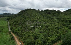 Pokok Sena, Kedah 6400
