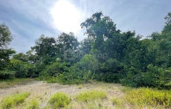 Kampung Nyior Paka, Dungun, Terengganu 23000