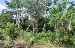 Jitra, Kedah 6000