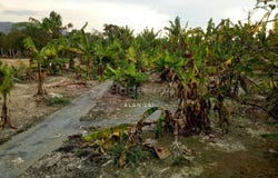 Kampung Baharu Pajam, Mantin, Negeri Sembilan 71700