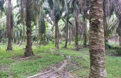 Parit, Perak 32800