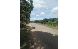 Maran Mengkarak, Pahang 26500