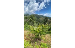 Bentong, Pahang 28700