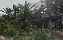 Banting, Selangor 42700