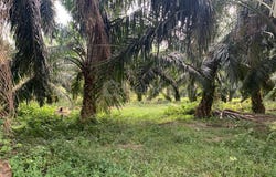 Parit, Perak 32800